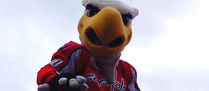 Slapshot of the Washington Capitals Slapshot of the Washington Capitals
