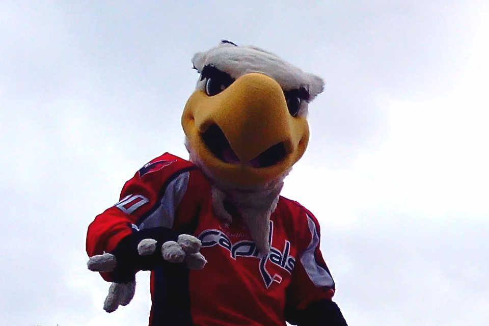 Slapshot of the Washington Capitals